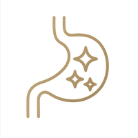 <strong>Gut Reset</strong>